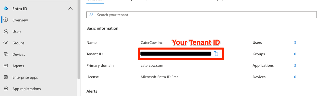 The app registration Overview page highlighting the Directory (tenant) ID