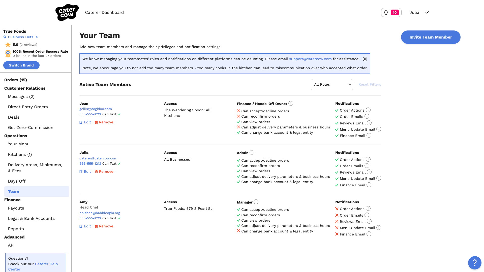 The Your Team page listing active team members with their access, permission, and notifications